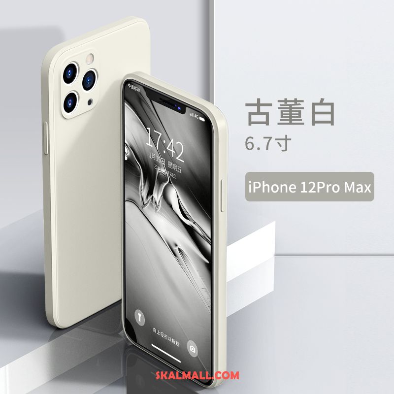 iPhone 12 Pro Max Skal Mjuk Mobil Telefon Silikon All Inclusive Personlighet Rea