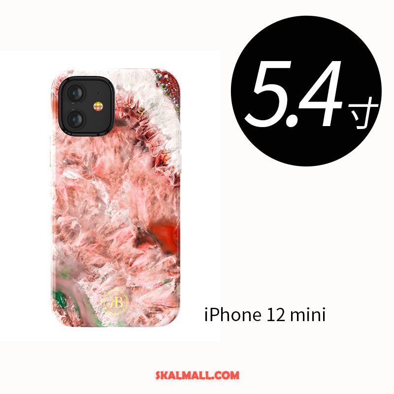 iPhone 12 Mini Skal Lyxiga Fallskydd Kristall All Inclusive Mönster Online