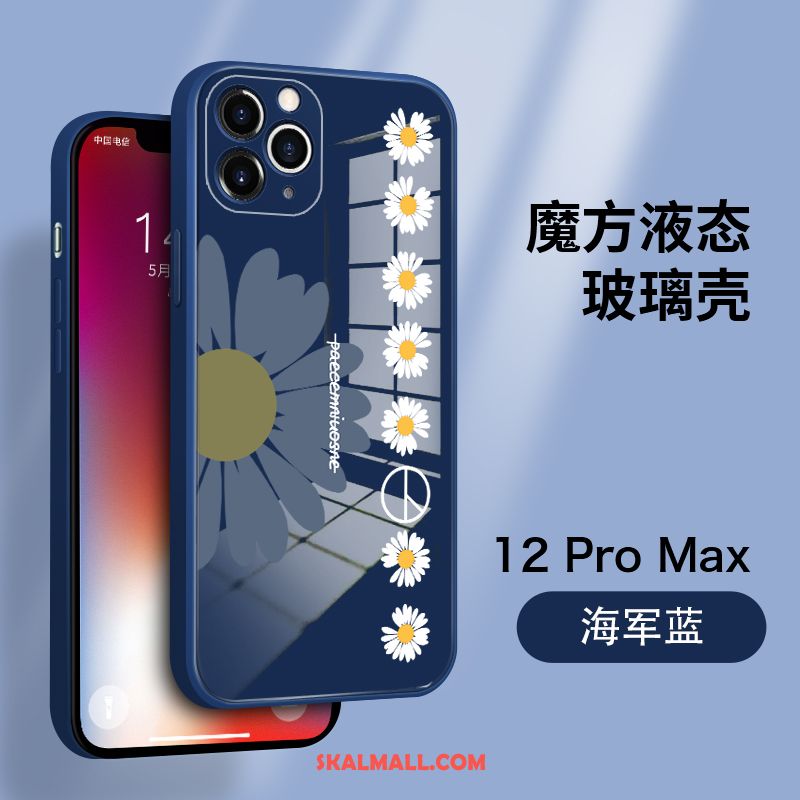 iPhone 12 Pro Max Skal Härdat Glas Par Ny Slim All Inclusive Rea