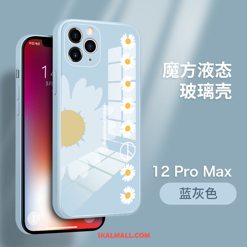 iPhone 12 Pro Max Skal Härdat Glas Par Ny Slim All Inclusive Rea