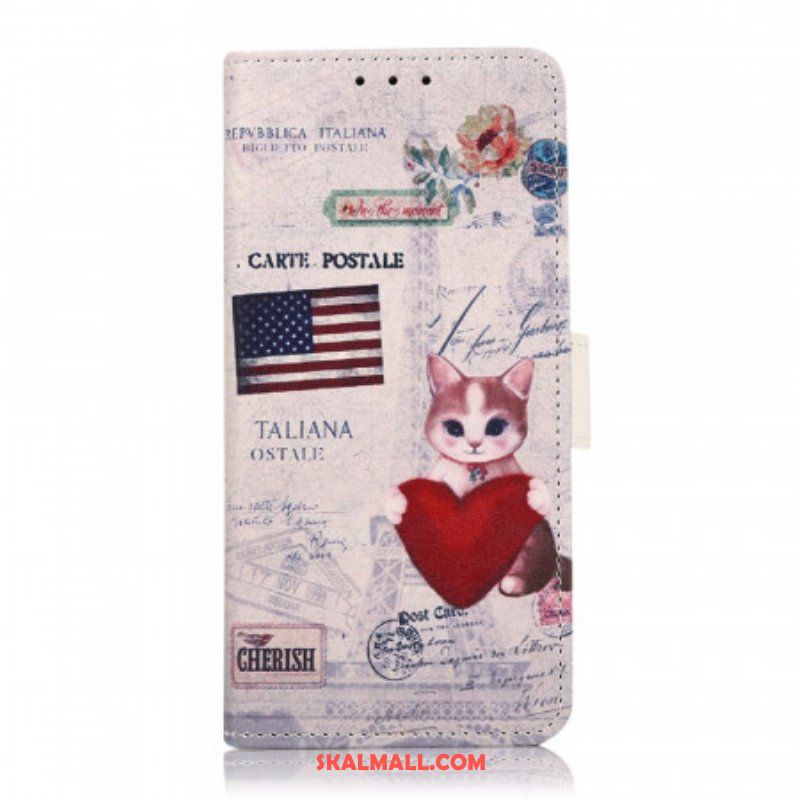 Fodral OnePlus Nord CE 2 5G Amerikansk Katt