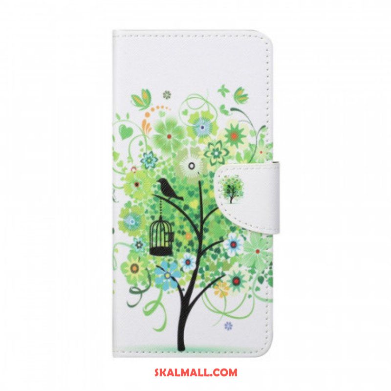 Fodral Samsung Galaxy M23 5G Träd Med Gröna Löv
