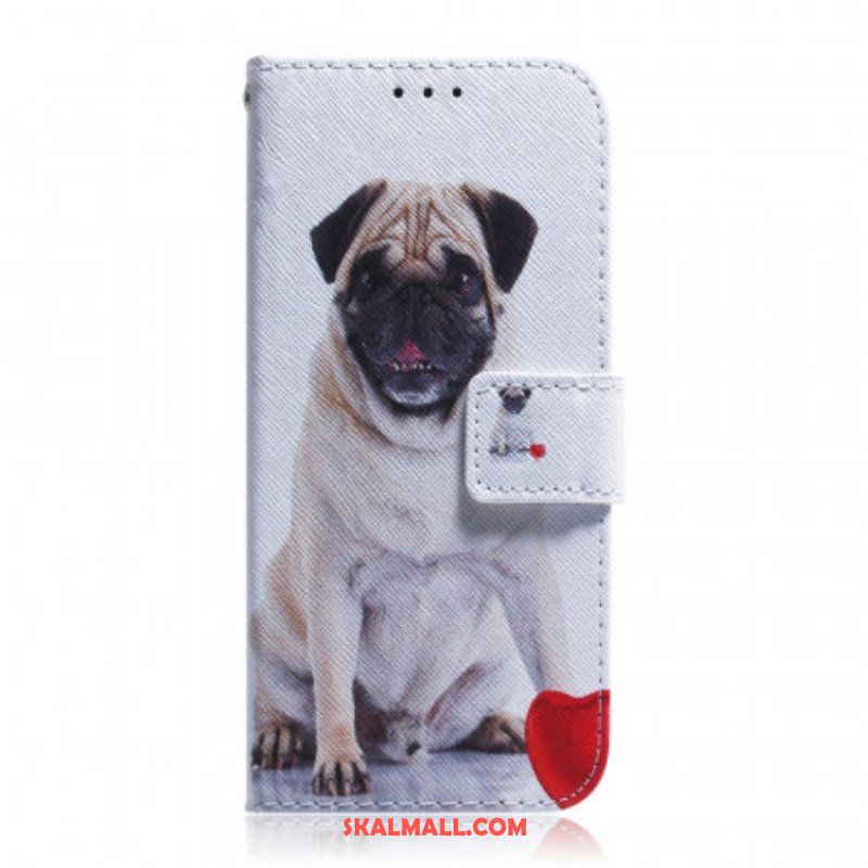 Fodral Samsung Galaxy M32 Mops Hund