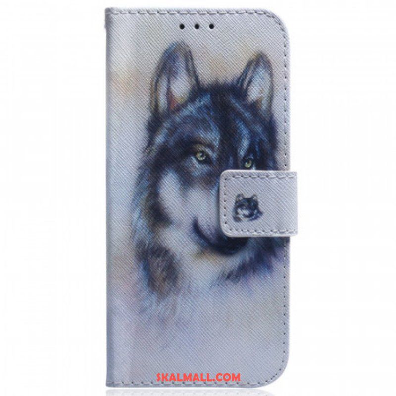 Fodral Samsung Galaxy M53 5G Akvarell Hund