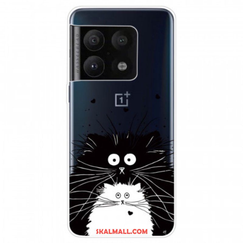 Mobilskal OnePlus 10 Pro 5G Förvånade Katter