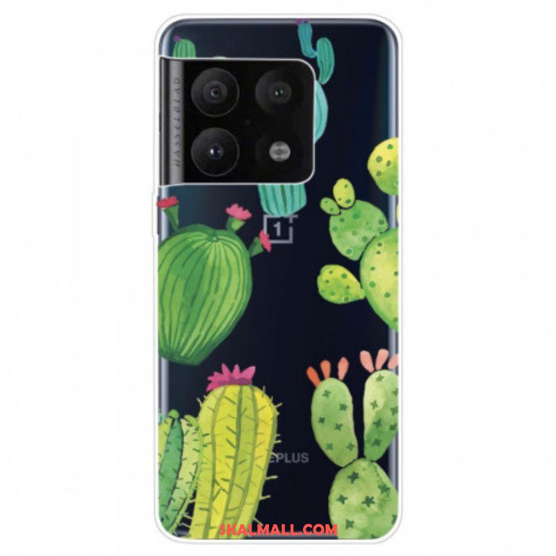 Skal OnePlus 10 Pro 5G Akvarell Kaktusar