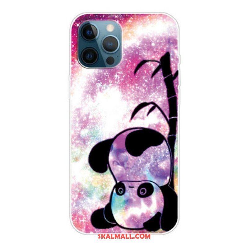 Skal iPhone 13 Pro Panda Och Bambu