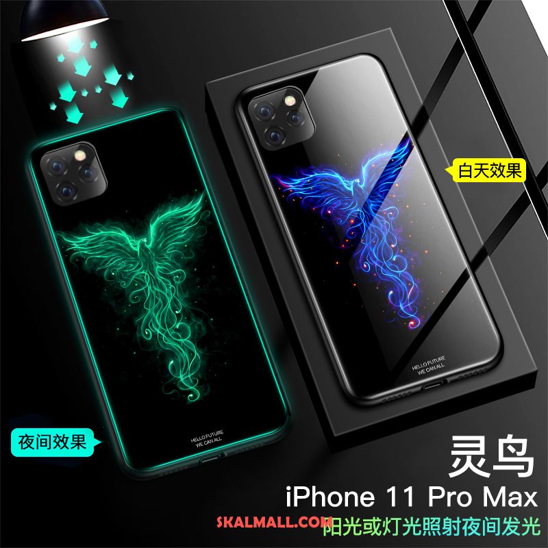 iPhone 11 Pro Max Skal Fallskydd All Inclusive Trend Spegel Svart Billigt